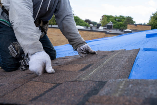 Quick and Trustworthy Emergency Roof Repair Services in Rhinelander, WI